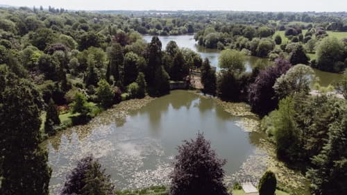 View from drone